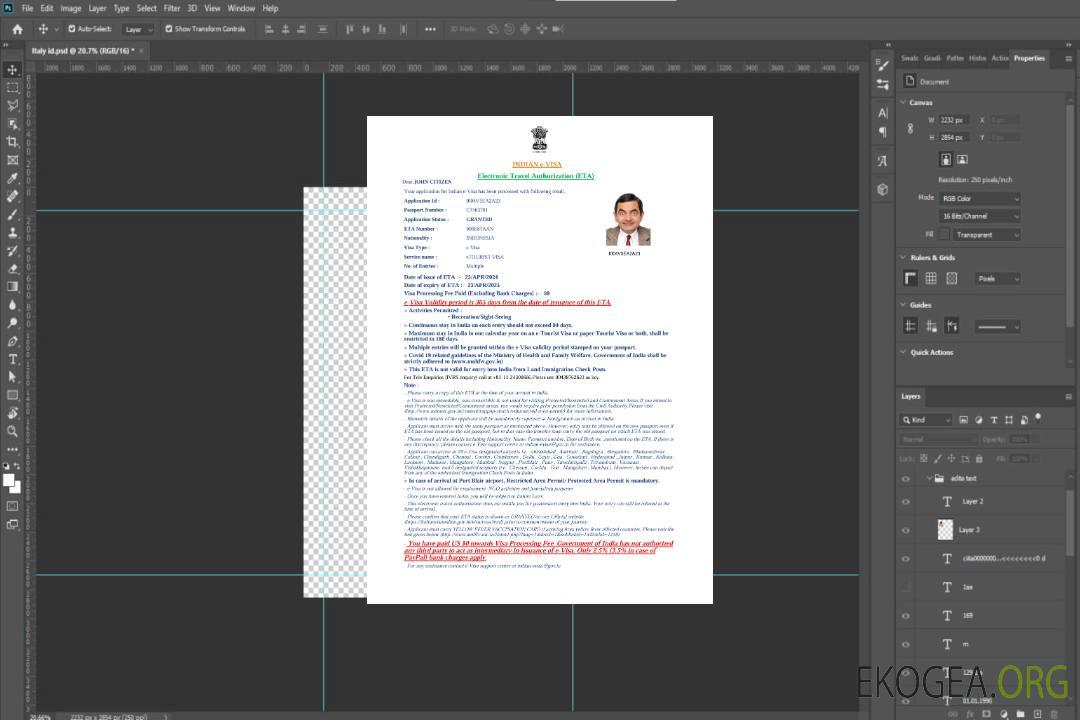 Modèle de visa électronique pour l'Inde aux formats Word et PDF, version 4 template